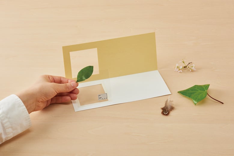 Unique Stationary Send Plants by Mail Haruka Shinji