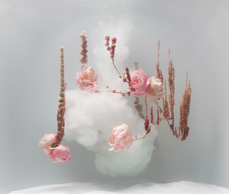 Flower Art Underwater Ballet Anne ten Donkelaar