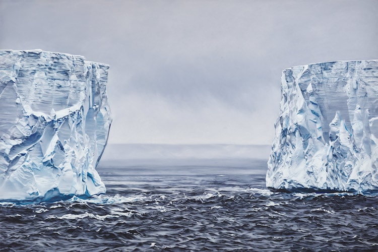 zaria forman hyperrealistic drawings antarctica