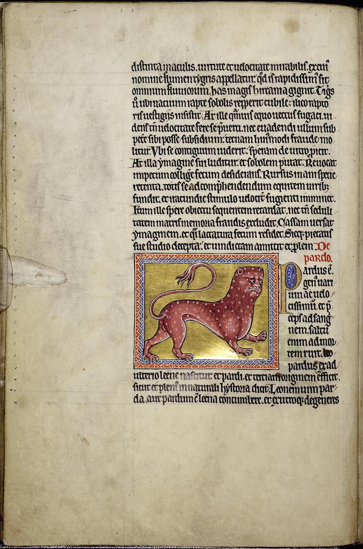Aberdeen Bestiary illuminated manuscript