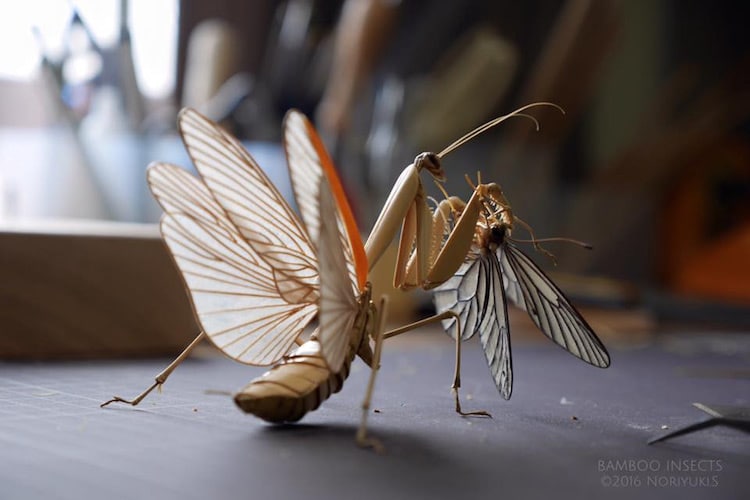 Insect Art by Noriyuki Saitoh