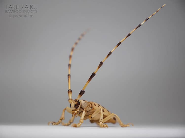 Insect Art Bamboo Sculpture