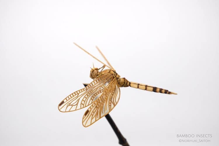 Insect Art by Noriyuki Saitoh