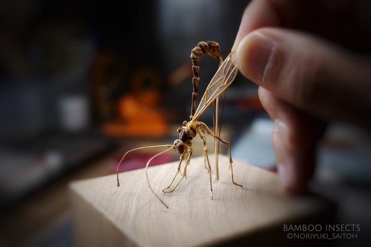 Insect Art by Noriyuki Saitoh