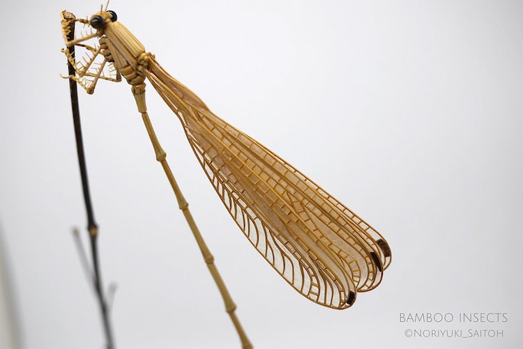 Bamboo Sculpture by Noriyuki Saitoh