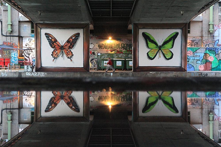 Butterfly Murals by Mantra