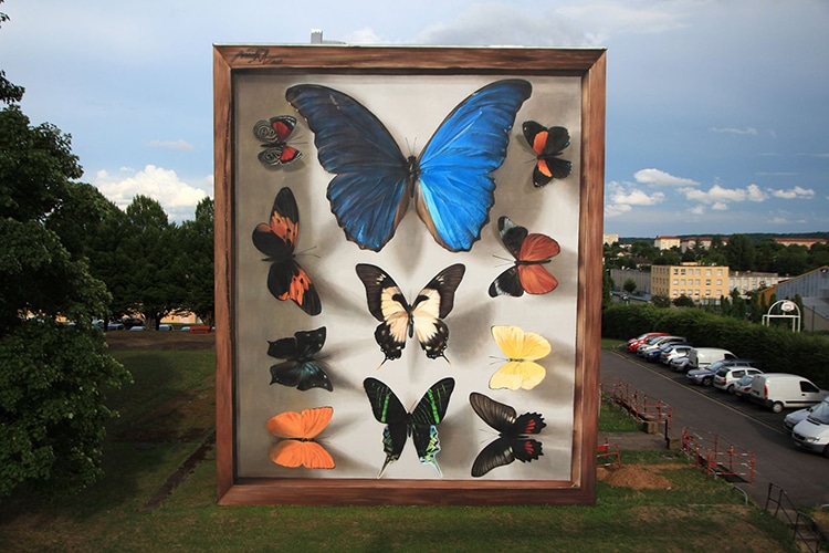 Butterfly Murals by Mantra