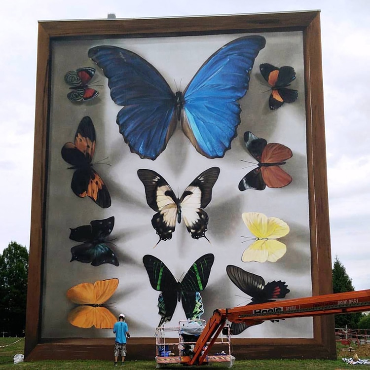 Butterfly Murals by Mantra