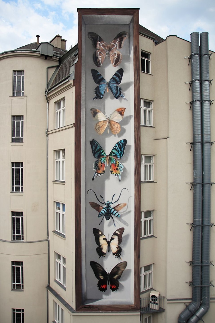 Street Artist Turns Buildings Into Gigantic Butterfly Specimen Cases