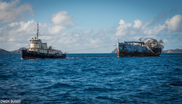 kodiak qween artificial reef