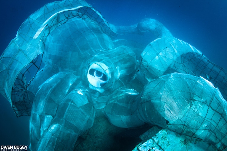 richard branson virgin islands artificial reef