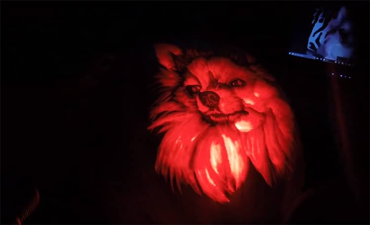 Dog Pumpkin Carving