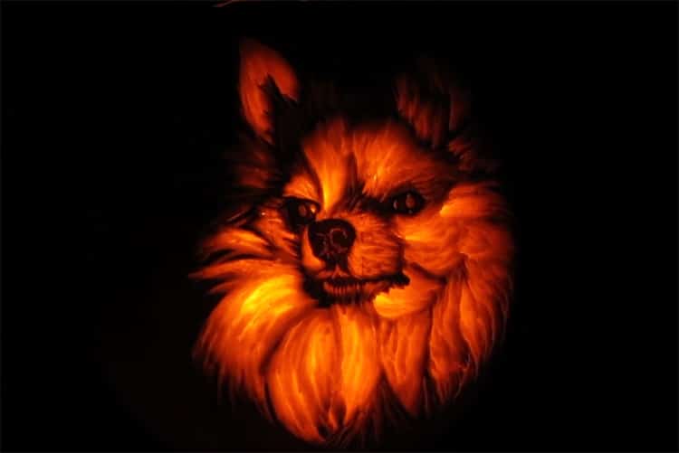 Dog Pumpkin Carving