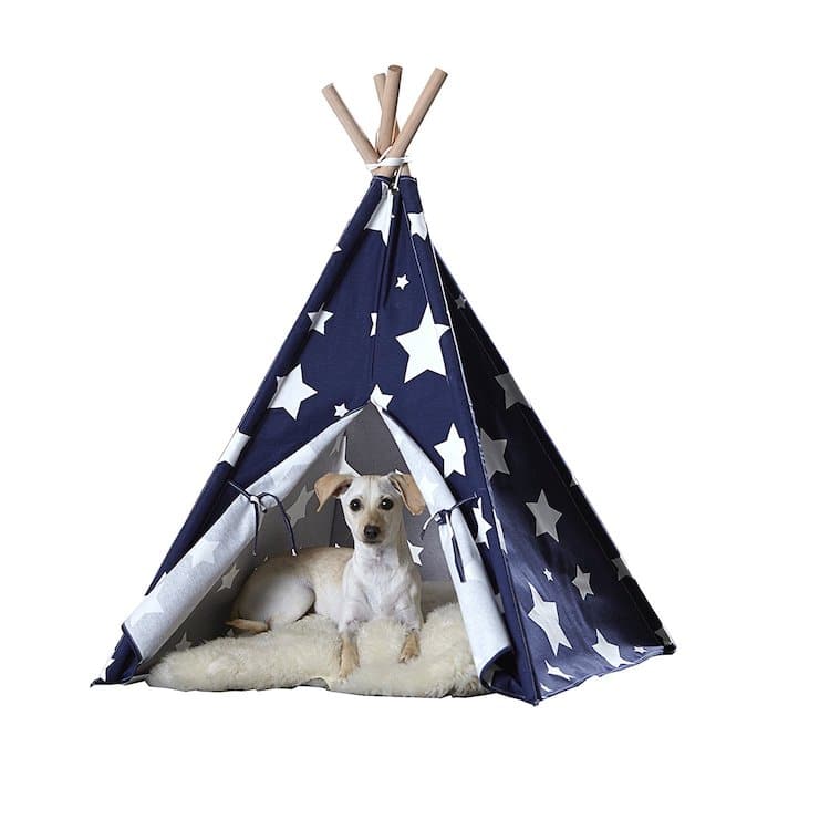 Tipi para perro