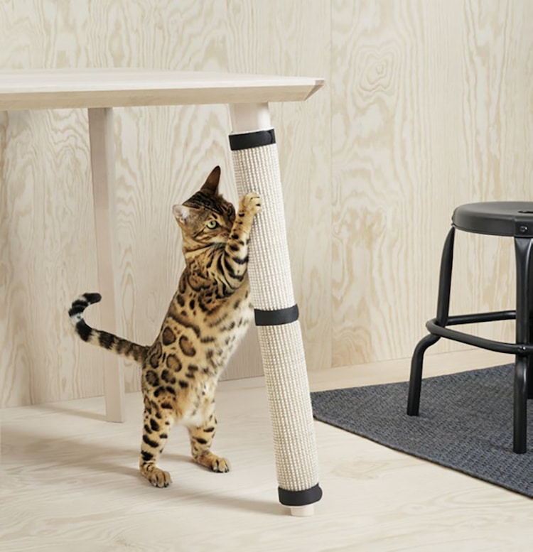 ikea's new pet furniture collection is designed with veterinarians