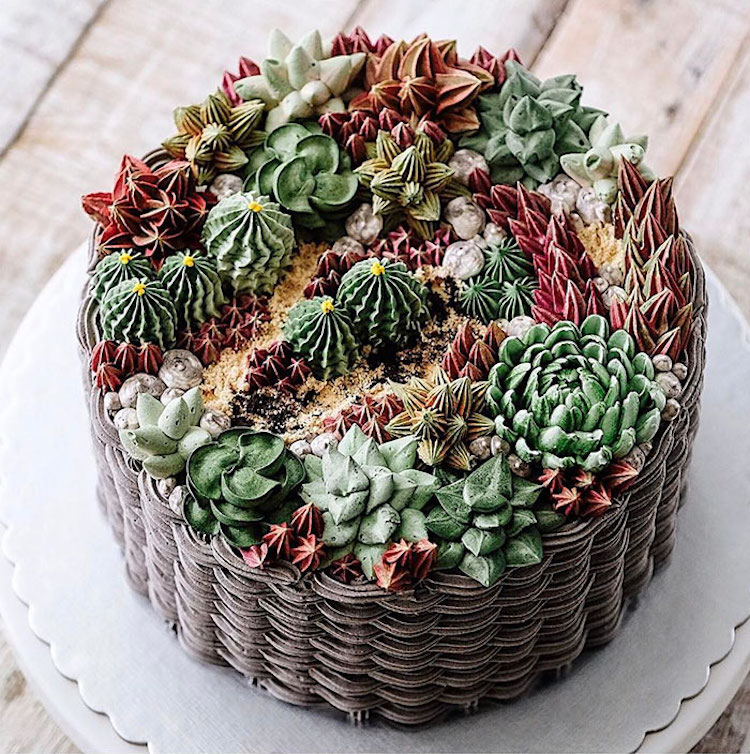 Nature-Inspired Cakes Nature Cake Succulent Cake