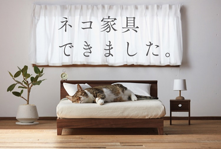 Okawa muebles para gatos