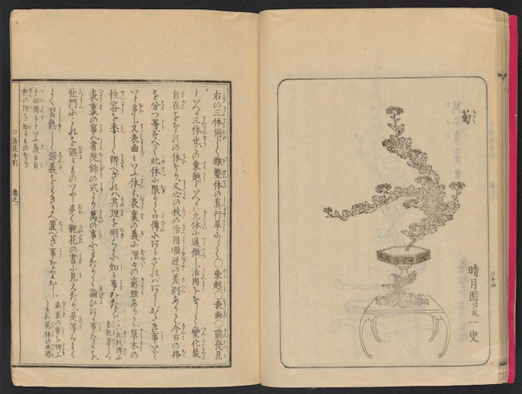 Smithsonian free japanese books online