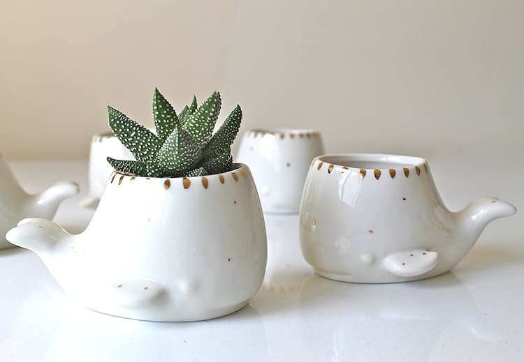 ceramic succulent pots