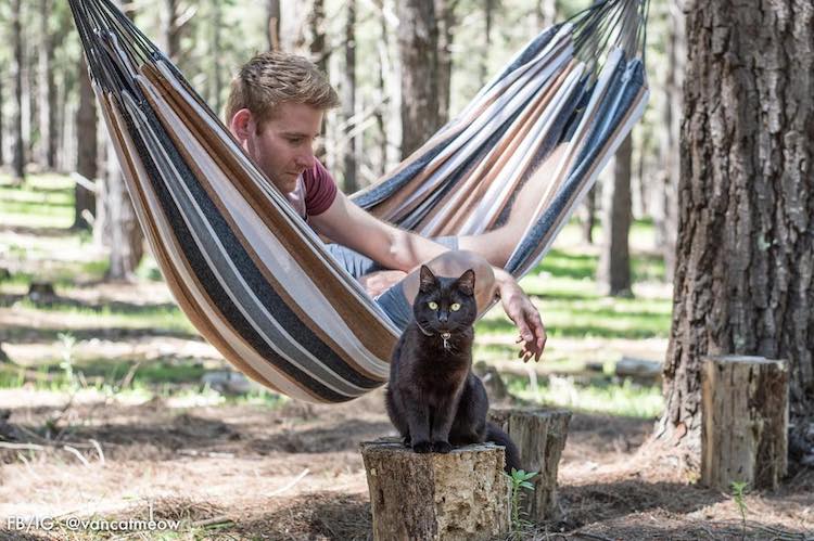 Man Sells Everything to Pursue Traveling With Cat in Around Australia