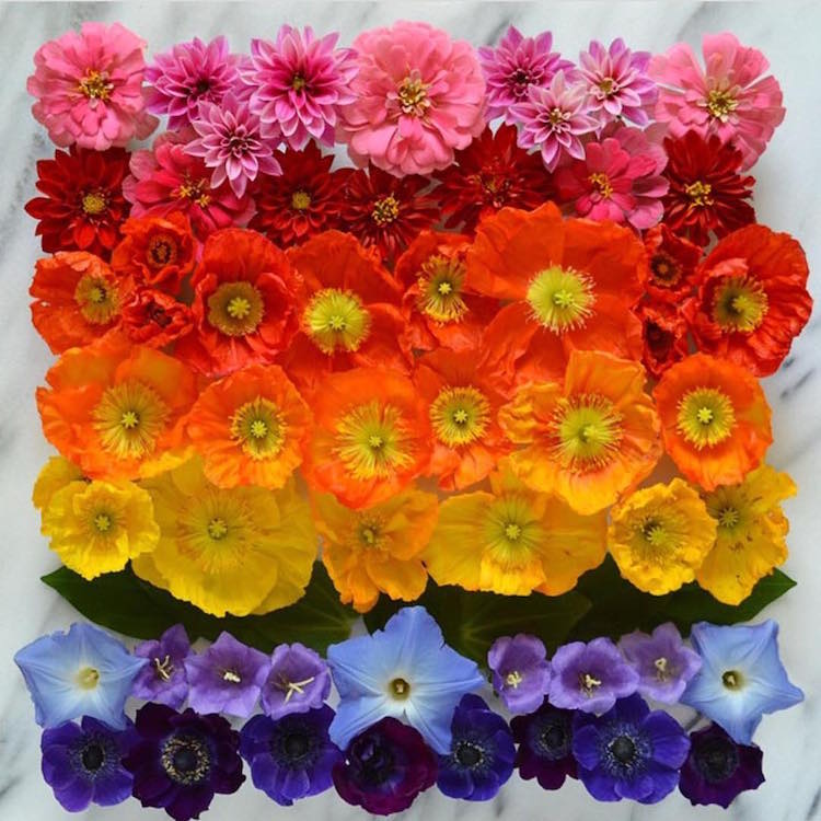 Unconventional Floral Arrangements Flower Arrangements Flower Art Botanical Art