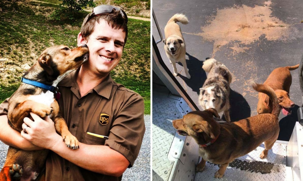 UPS Dogs Facebook Group Celebrates the Pups Along Drivers' Routes