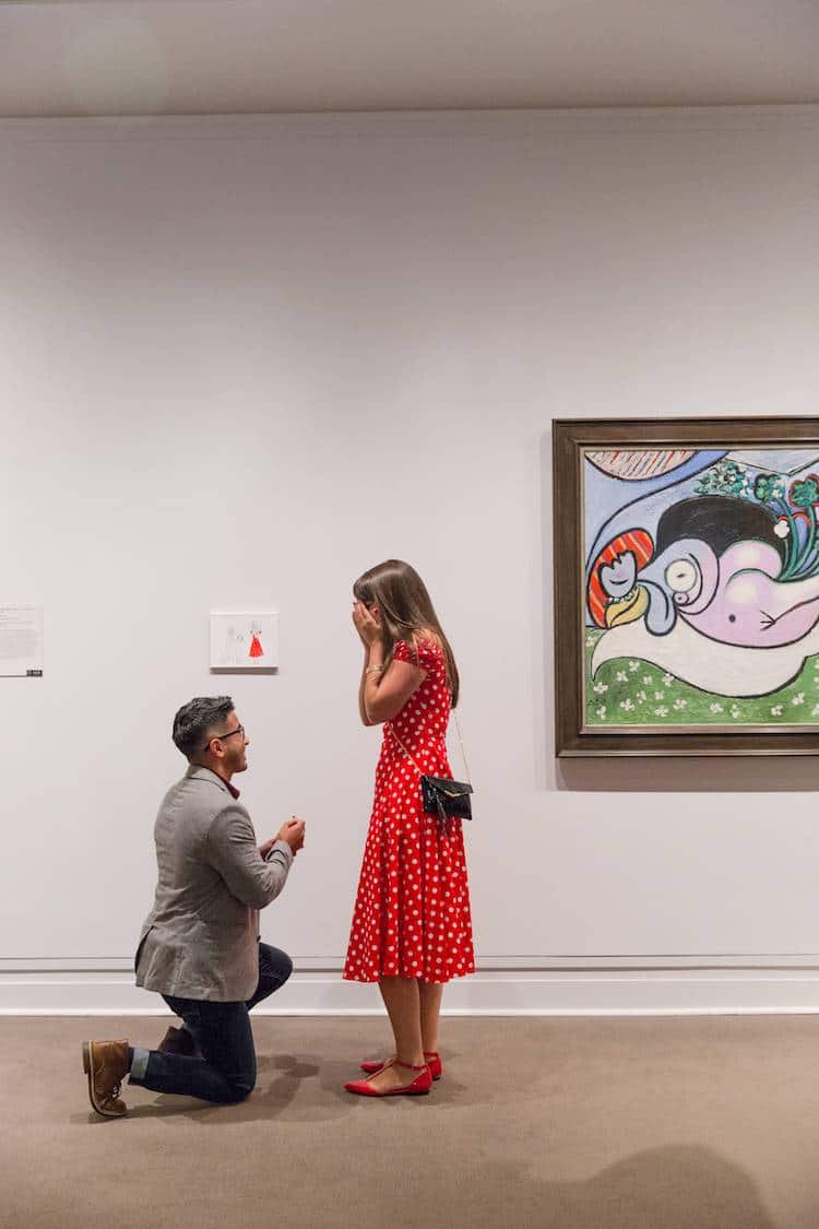 Best Marriage Proposal at the Metropolitan Museum of Art