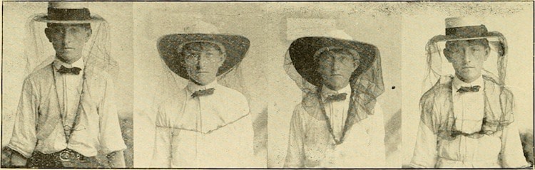 Early 20th Century Beekeepers