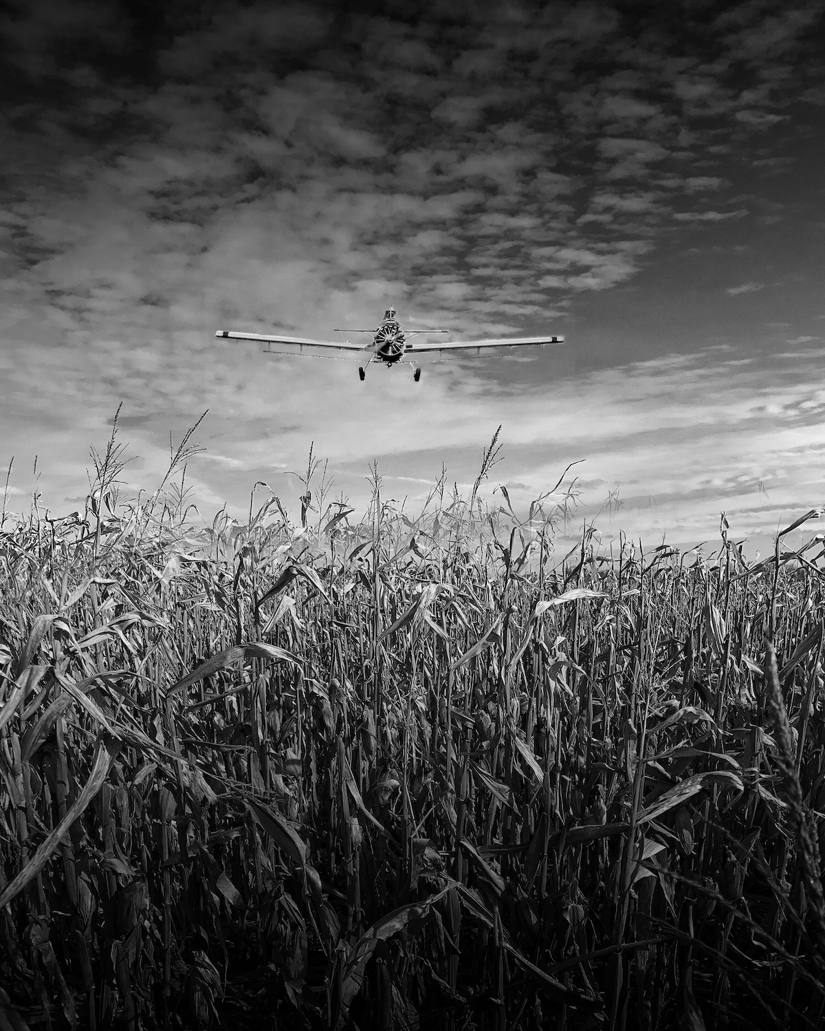 Black white 12. Джейсон Петерсон фотограф. Черно белые снимки. Красивые черно белые снимки. Черная белая фотография.