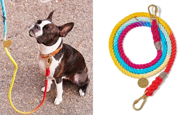 Gifts that give outlet back to dogs