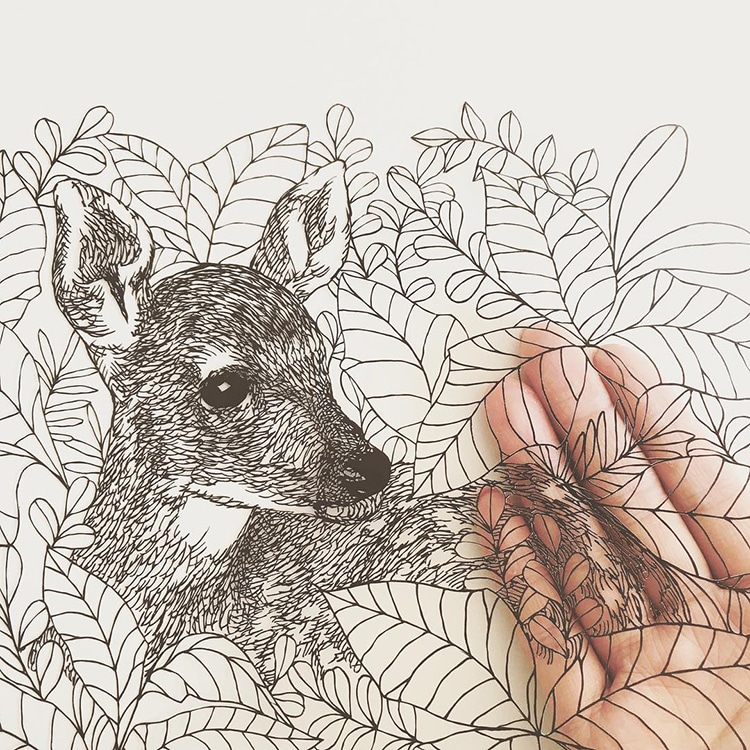 Delicate Paper-Cut Illustrations by Kanako Abe