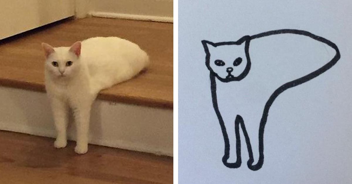 Minimal Cat Art is a Subreddit Where People Share Their Simple Cat Drawings