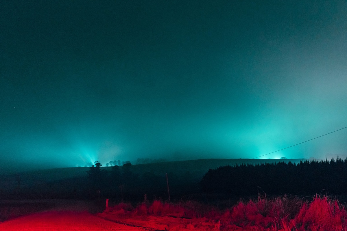 Neon Nightscapes Elsa Bleda