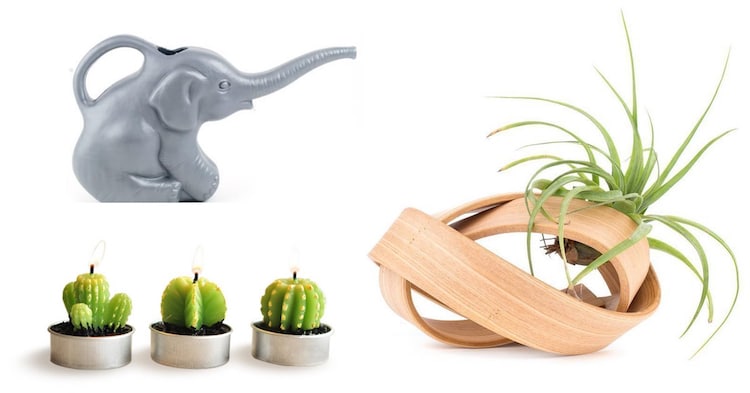 25+ Garden-Themed Gifts That Are Perfect for Plant Lovers