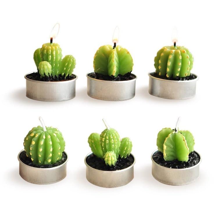 Velas de cactus