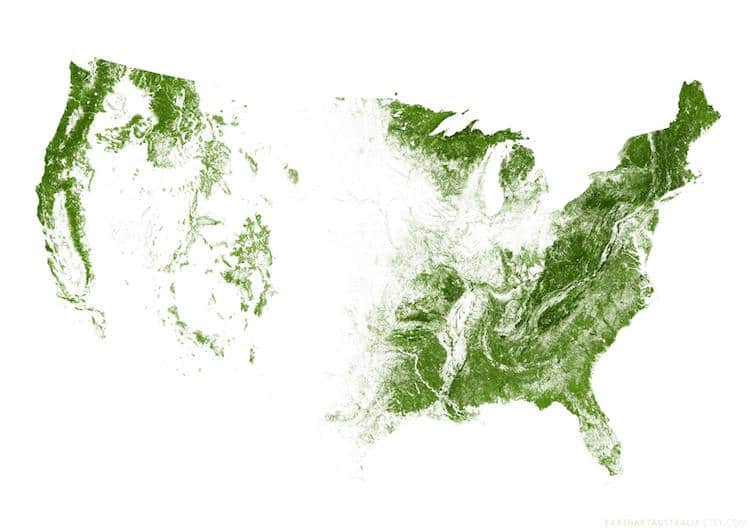 United States Map From Over 1000 Million Acres Of Forests
