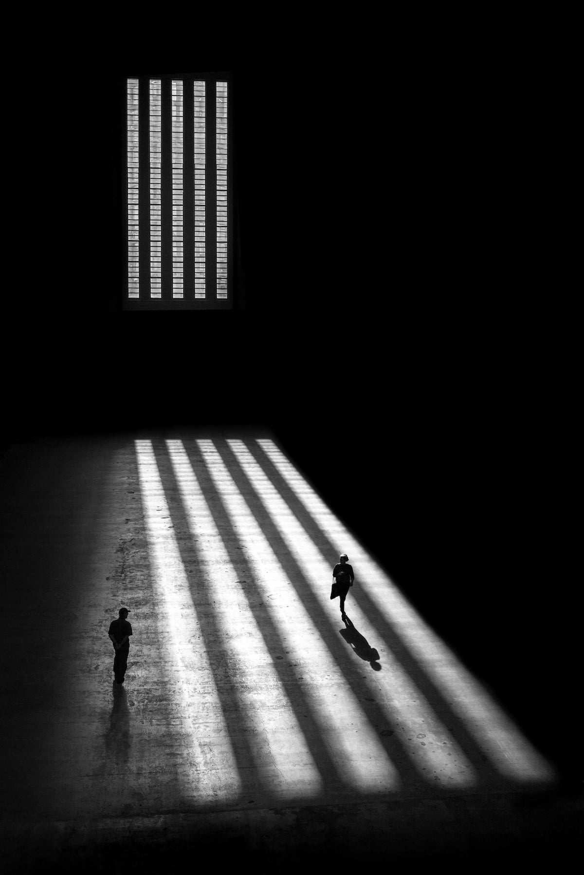 Alan Schaller photography