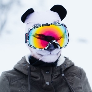 Transform Into a Cat on the Slopes with Beardo Animal Ski Masks