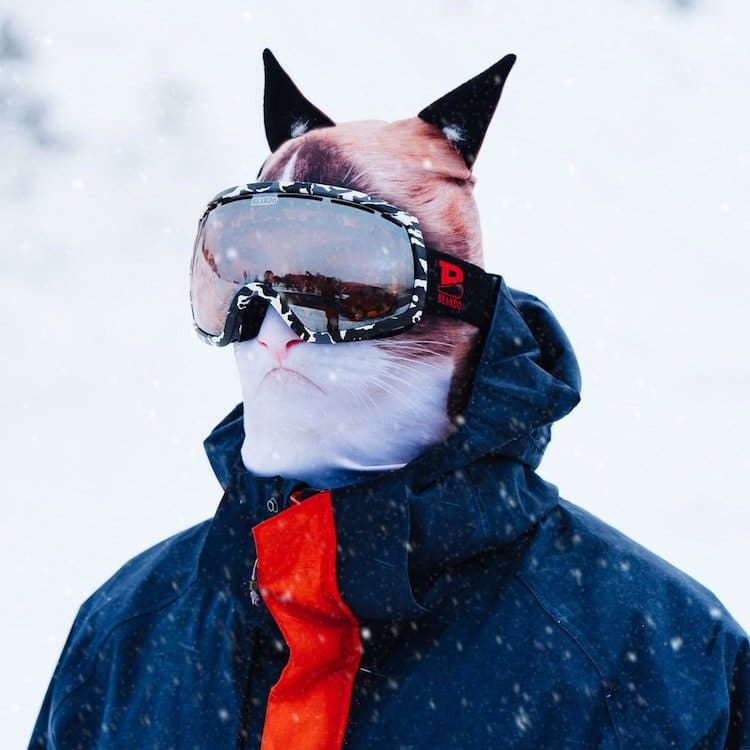 Animal Face Ski Mask