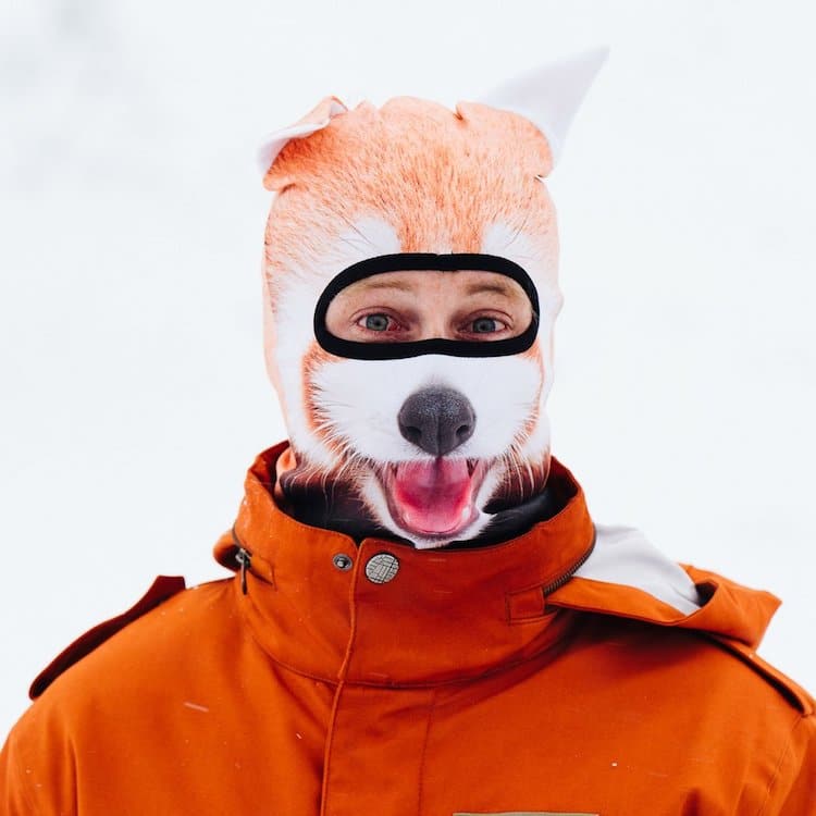 Animal Ski Masks by Beardo