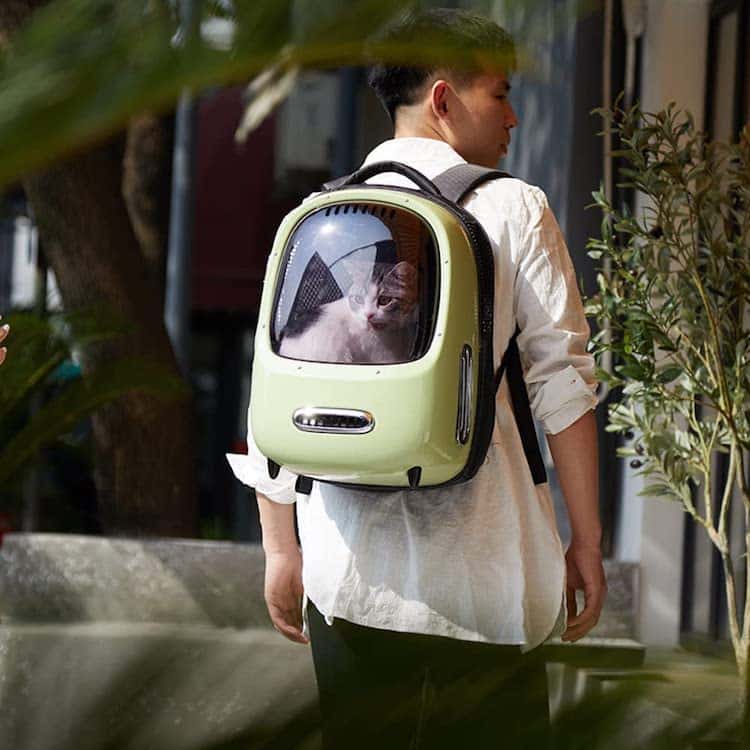 Cat Backpack