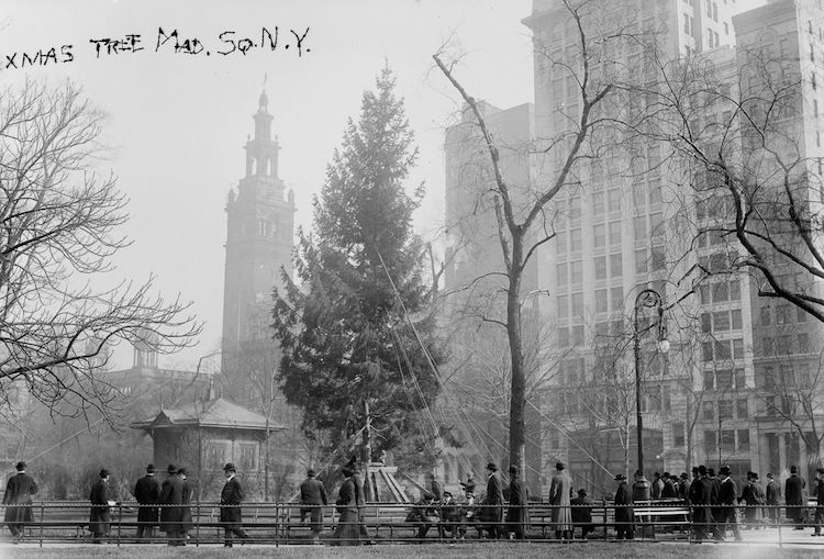 photographs of early twentieth century New York