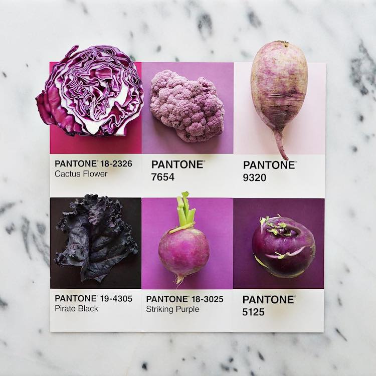 Pantone Art With Food by Lucy Litman