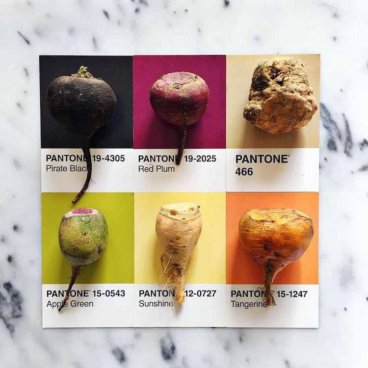 Pantone Art With Food by Lucy Litman