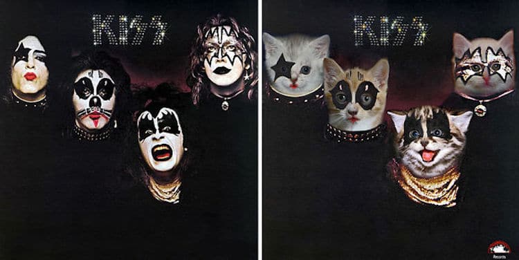 Cat Album Covers