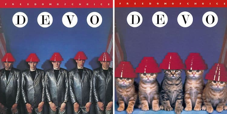 Cat Album Covers