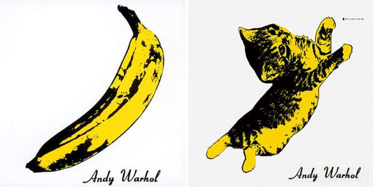 Cat Album Covers Replace Iconic Designs with Adorable Kittens