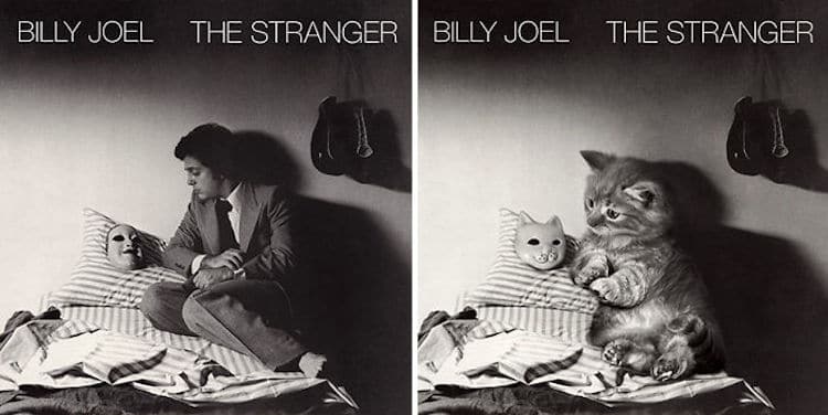 Cat Album Covers