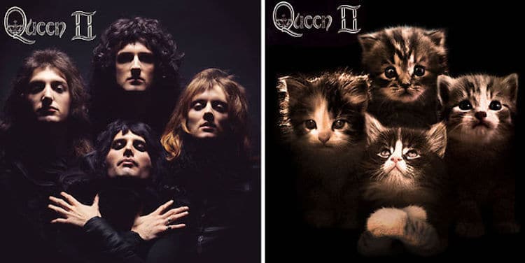 Cat Album Covers