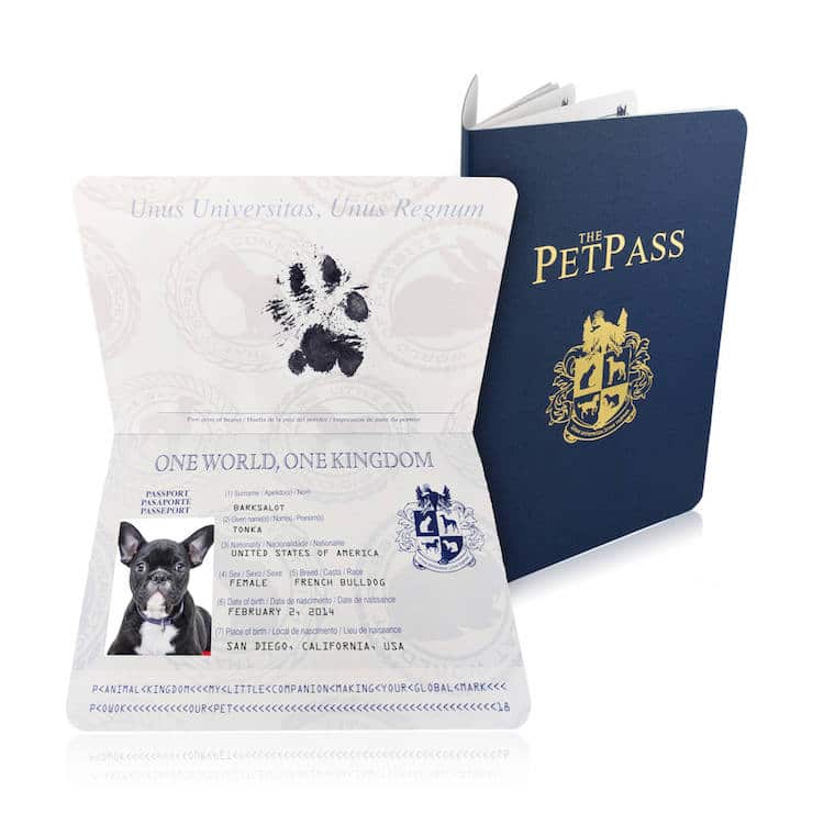 Travel Essentials Travel Products Gifts for People Who Travel Unique Travel Gifts Airplane Games Passport Cover